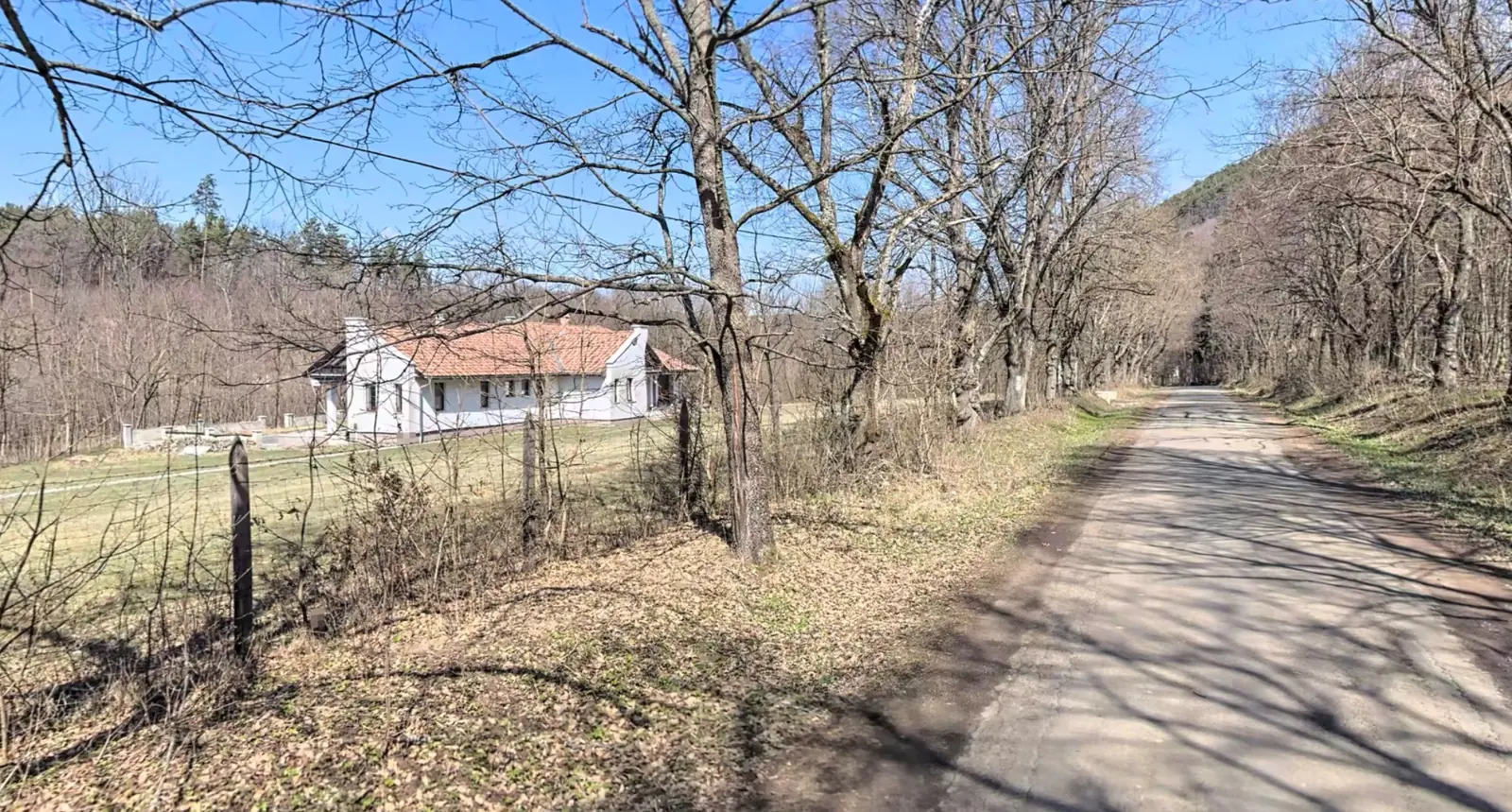 Utcakép II. – Most